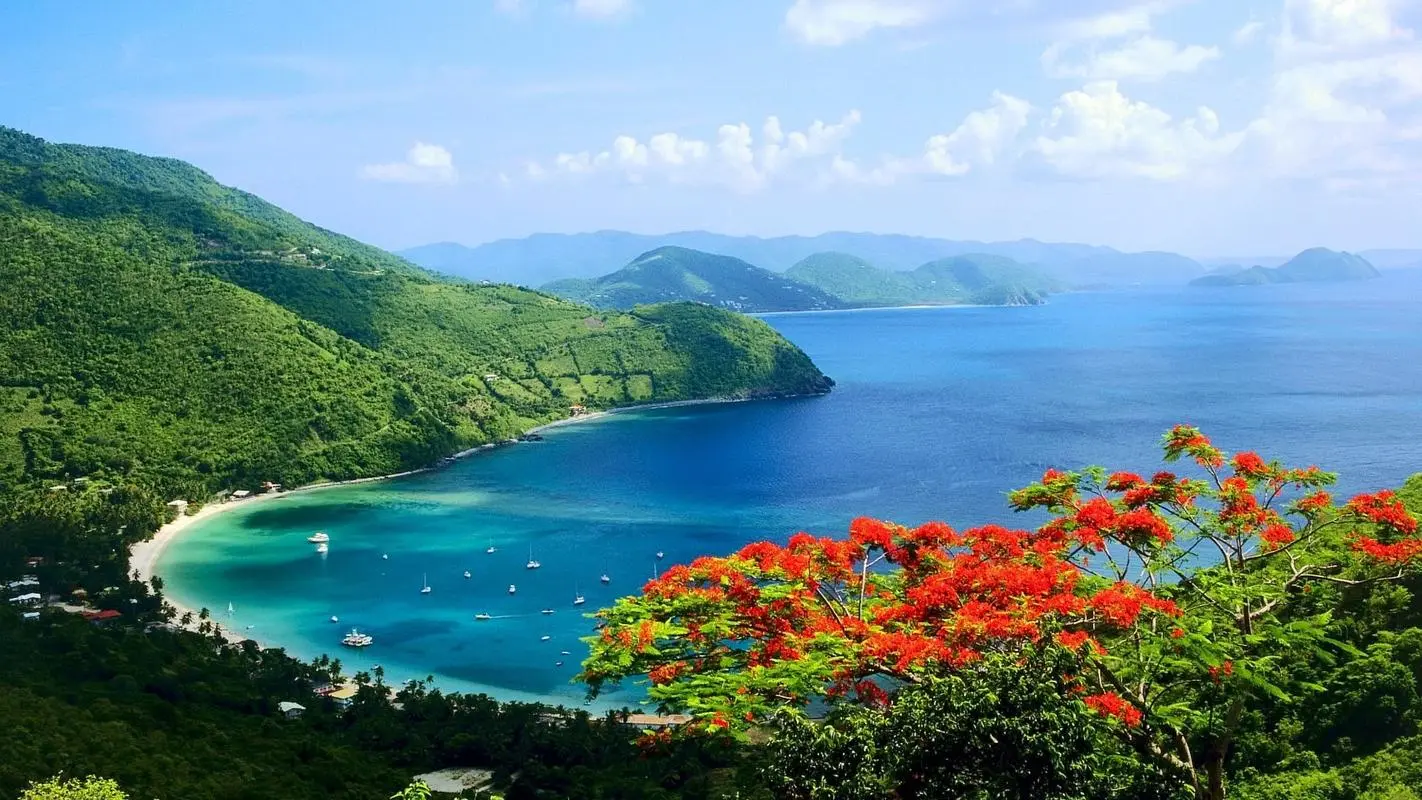 自动化高性能高端